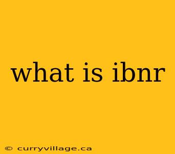what is ibnr