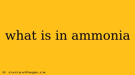 what is in ammonia