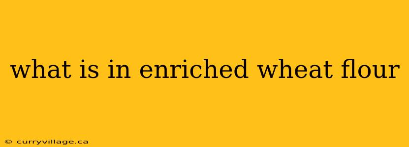 what is in enriched wheat flour