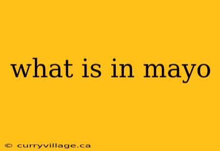 what is in mayo