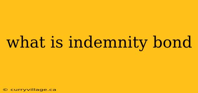 what is indemnity bond
