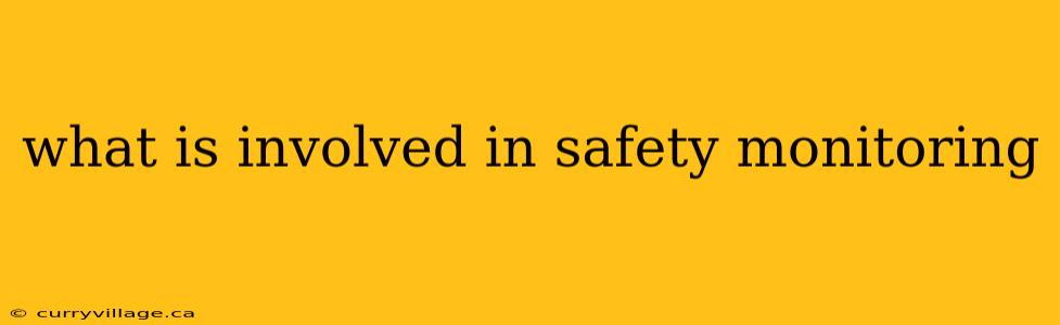 what is involved in safety monitoring