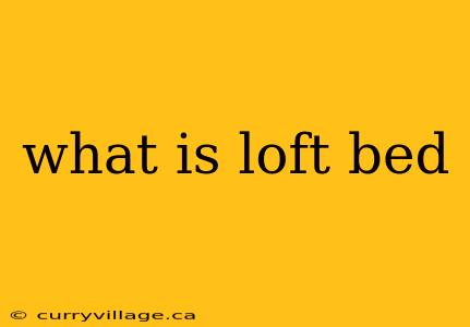 what is loft bed