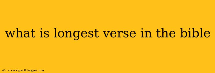 what is longest verse in the bible