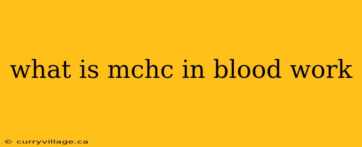 what is mchc in blood work