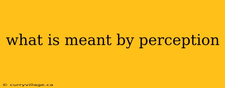 what is meant by perception