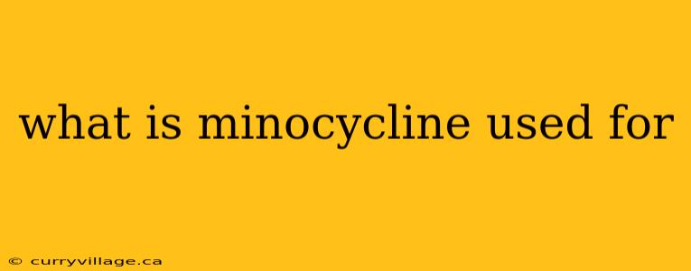 what is minocycline used for
