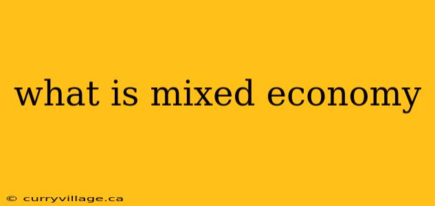 what is mixed economy