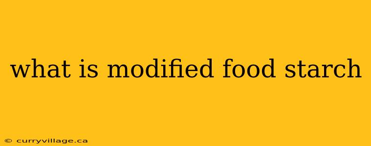 what is modified food starch