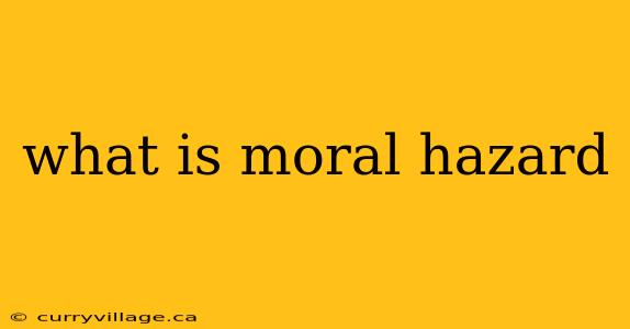 what is moral hazard