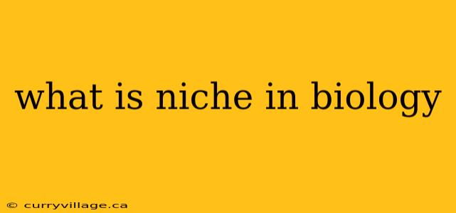 what is niche in biology
