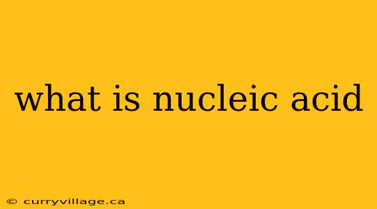 what is nucleic acid