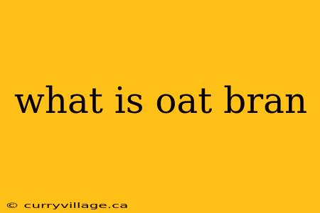 what is oat bran