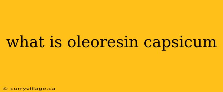 what is oleoresin capsicum