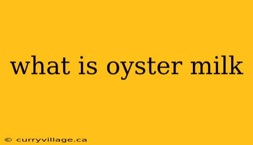 what is oyster milk