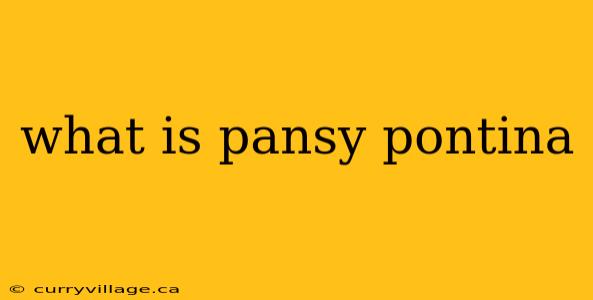 what is pansy pontina