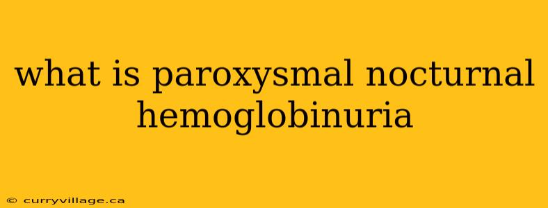 what is paroxysmal nocturnal hemoglobinuria