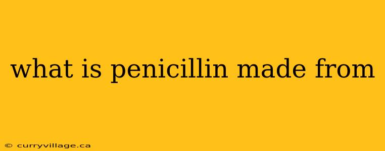 what is penicillin made from