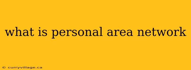 what is personal area network