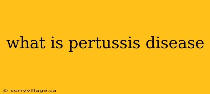 what is pertussis disease