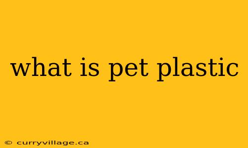 what is pet plastic