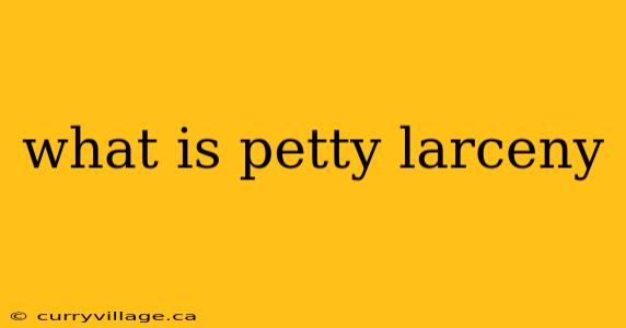 what is petty larceny