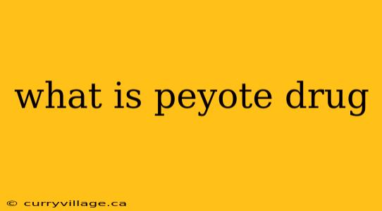 what is peyote drug