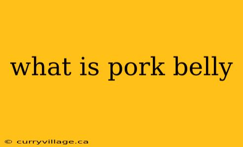 what is pork belly