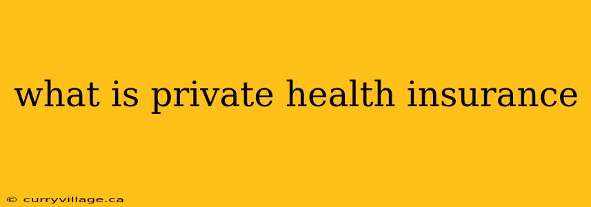 what is private health insurance