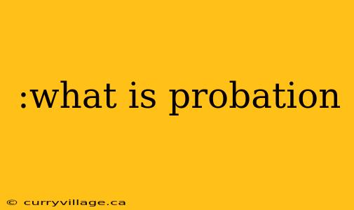 :what is probation