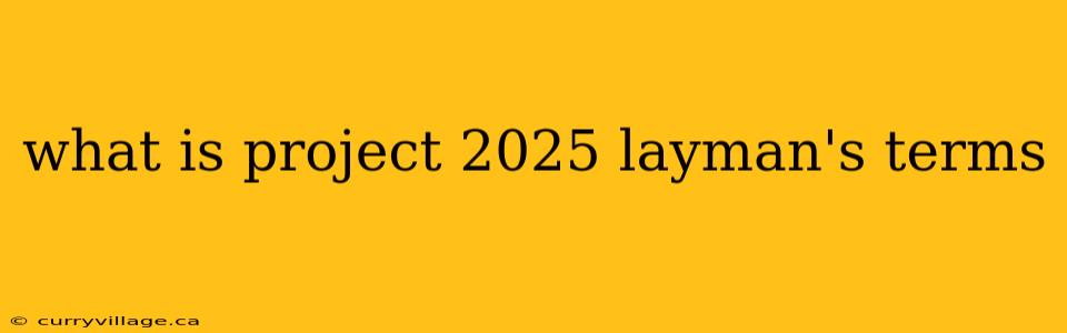 what is project 2025 layman's terms