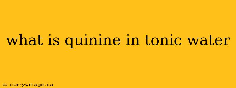 what is quinine in tonic water