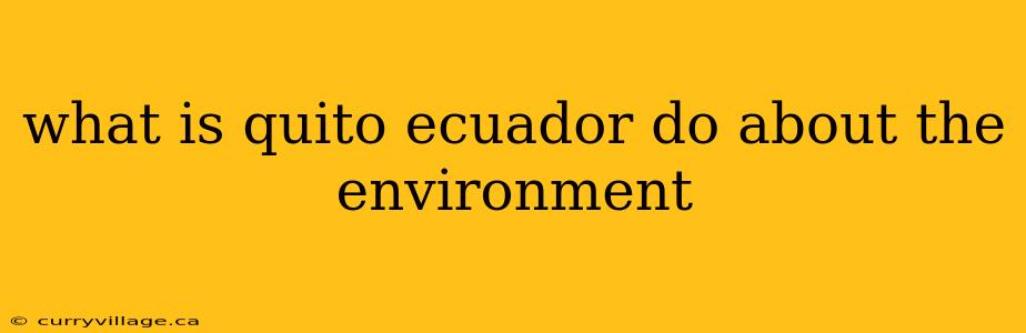 what is quito ecuador do about the environment