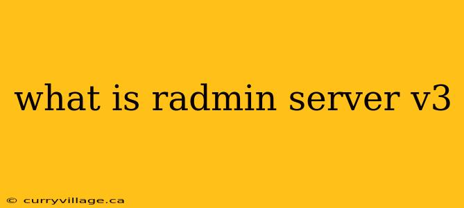 what is radmin server v3