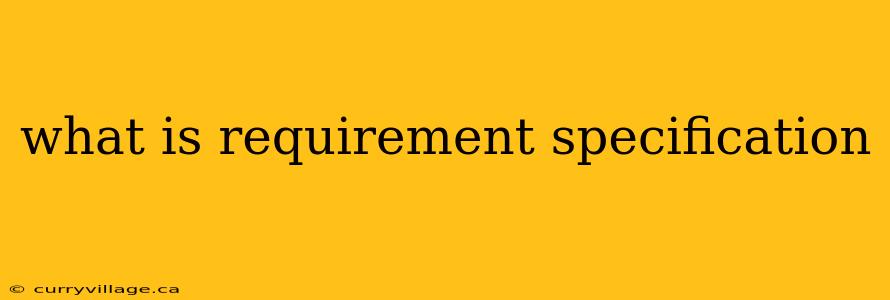 what is requirement specification