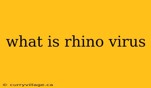 what is rhino virus