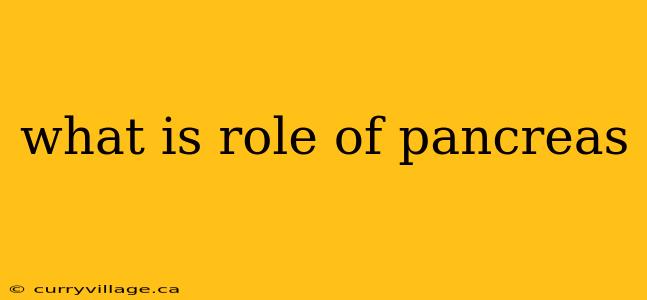 what is role of pancreas