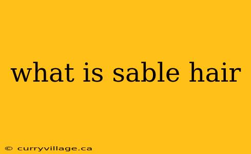 what is sable hair