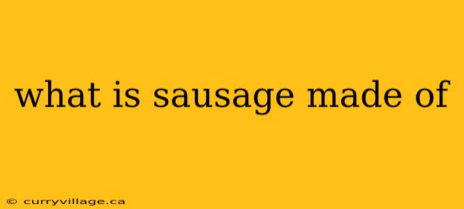 what is sausage made of