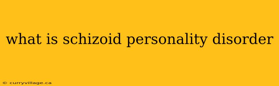 what is schizoid personality disorder