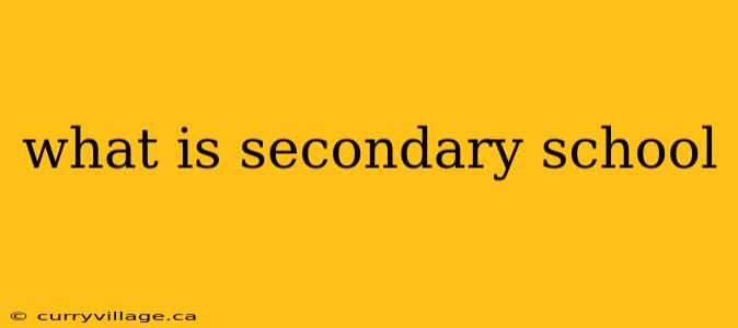 what is secondary school