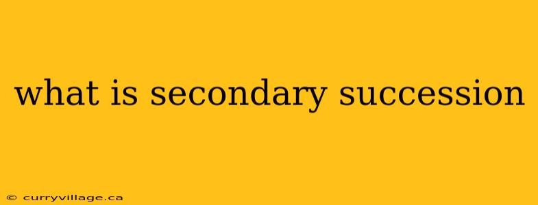 what is secondary succession