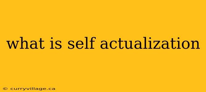 what is self actualization