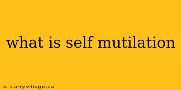 what is self mutilation