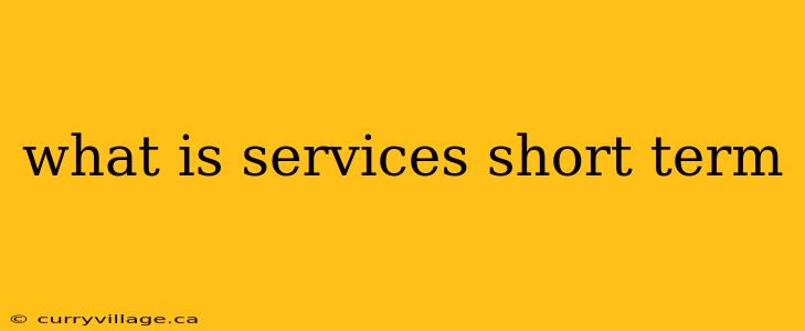 what is services short term