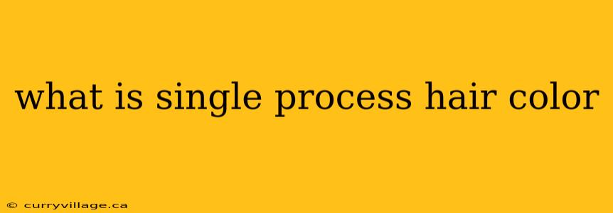 what is single process hair color