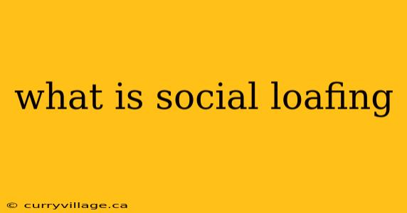 what is social loafing