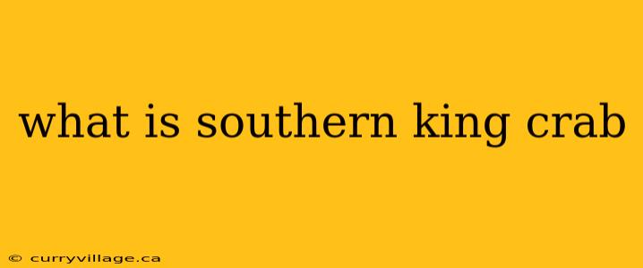 what is southern king crab