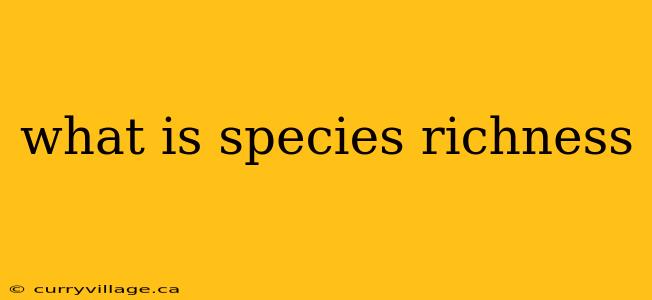 what is species richness