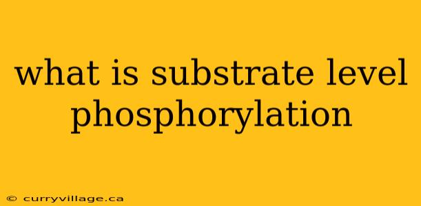 what is substrate level phosphorylation